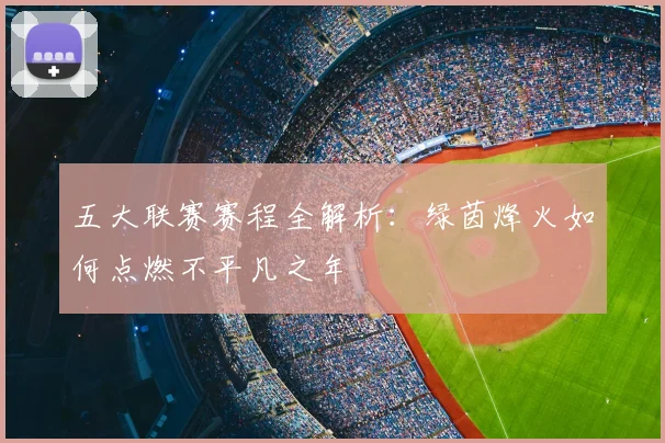 五大联赛赛程全解析：绿茵烽火如何点燃不平凡之年