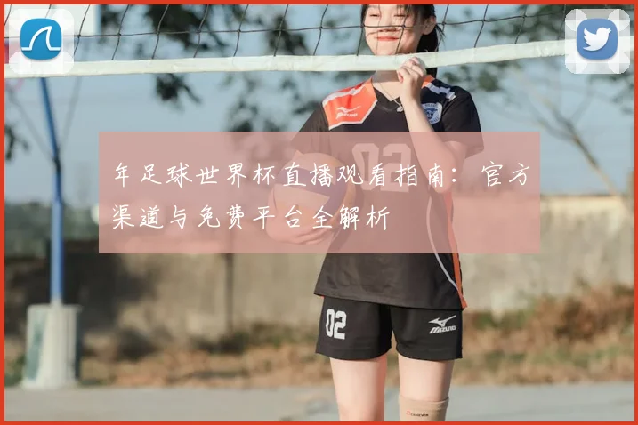 年足球世界杯直播观看指南：官方渠道与免费平台全解析