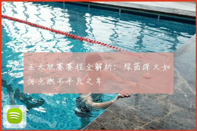 五大联赛赛程全解析：绿茵烽火如何点燃不平凡之年